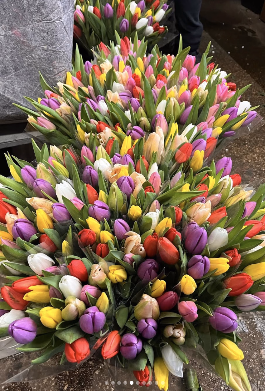 Fiori 1