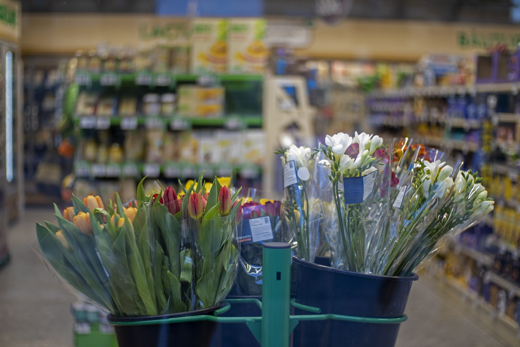 Fiori 10