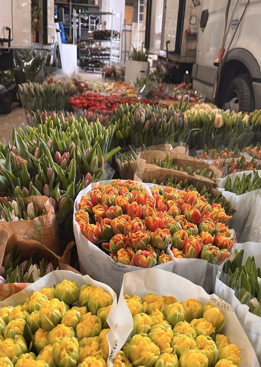 Fiori 2