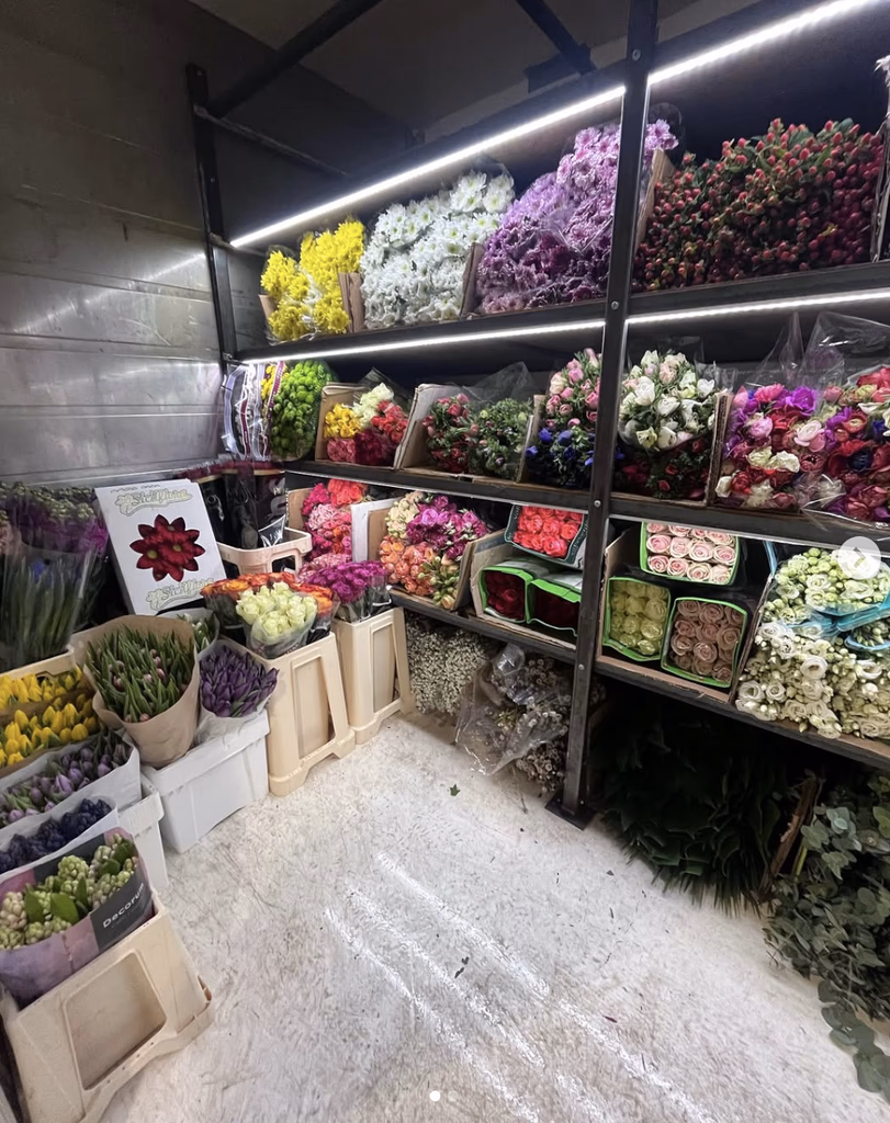 Fiori 3
